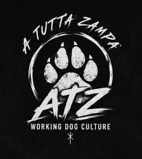 ATZ Logo