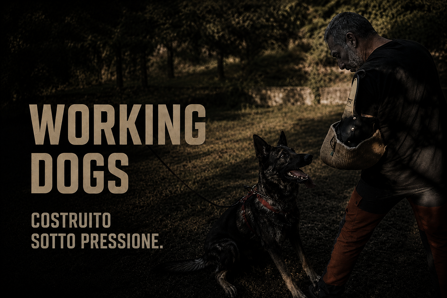 Working Dogs